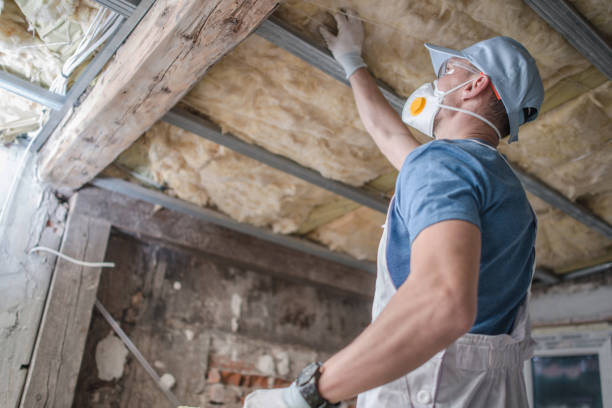 Best Insulation for Specific Applications in Boise, ID